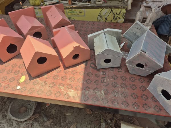 Bird Homes